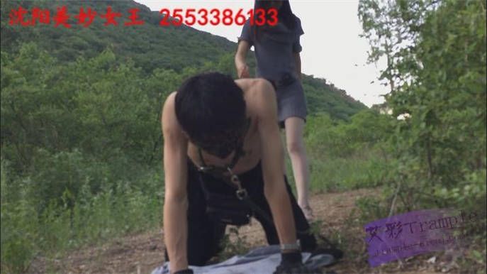 1769529506014008.jpg