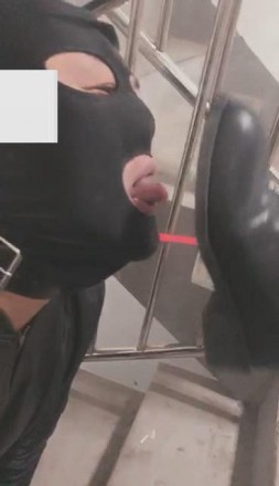 1772074459029010.jpg