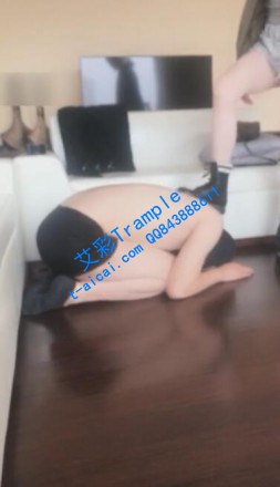 1772074603039005.jpg