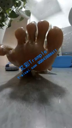 1772074595057003.jpg