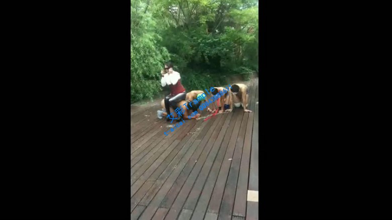 1772074719057002.jpg