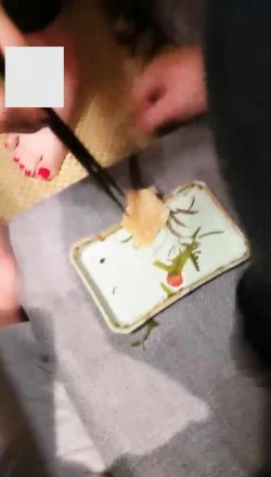 177220464502014.jpg