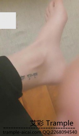 1772204724025013.jpg