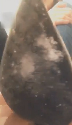 1772250783055001.jpg