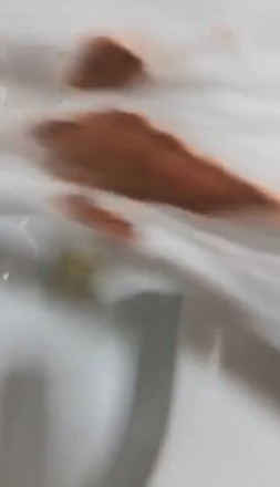 1772307836045005.jpg