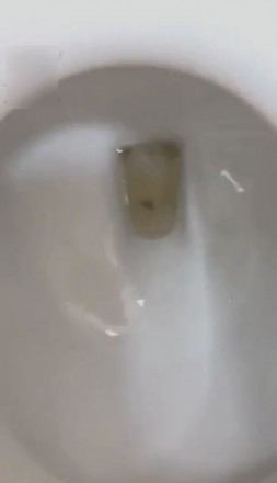 1772307836045006.jpg