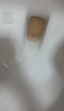1772307837050007.jpg