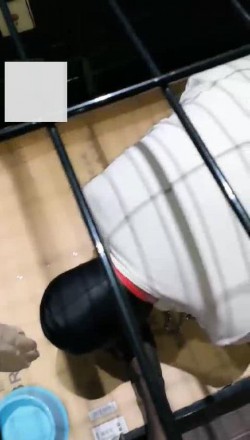 1772302217026005.jpg