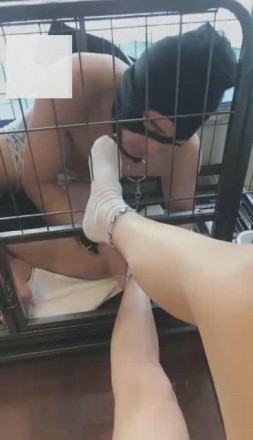 1772302245064014.jpg