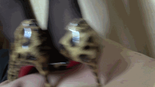 177325821804002.gif