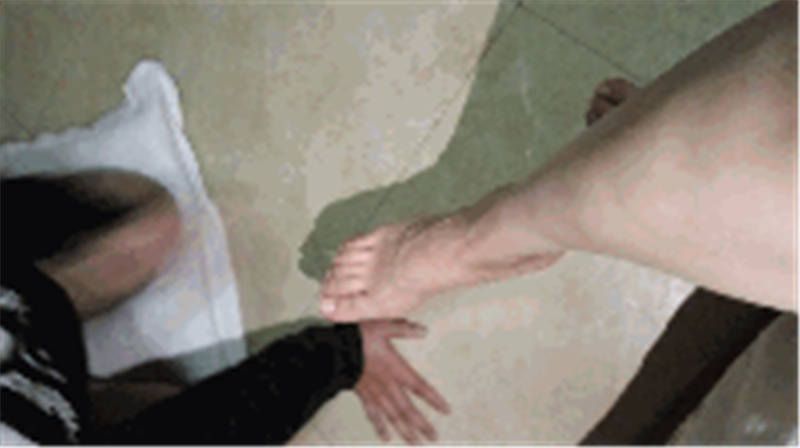 177347102601012.jpg