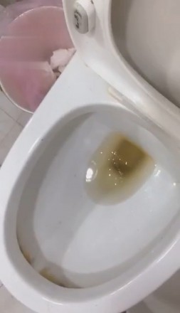 177230786602005.jpg