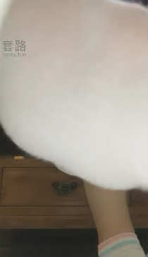 1772307957036013.jpg