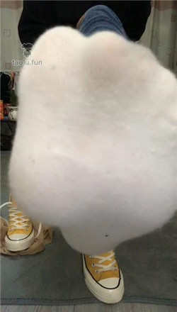1772307983046013.jpg