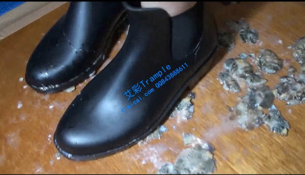 1774525763032007.jpg