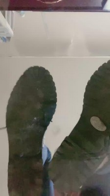 177539276005005.jpg
