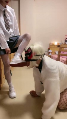 1775566922155004.jpg