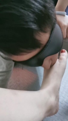 1775566924159004.jpg