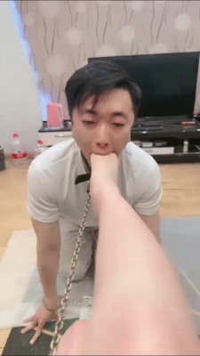 1775567013052007.jpg