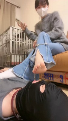1775567019198010.jpg