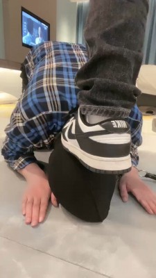 1775567094179011.jpg