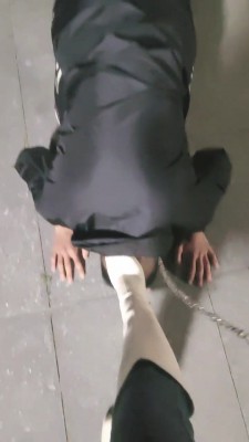 177556723305002.jpg