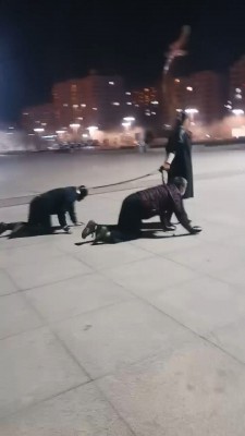 1775567250055008.jpg