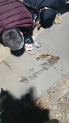 1775567252055009.jpg