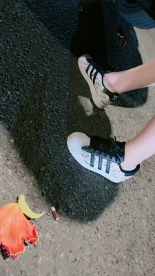 1775567241124005.jpg