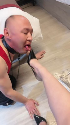1775567233182002.jpg