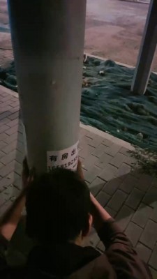 1775594217187002.jpg