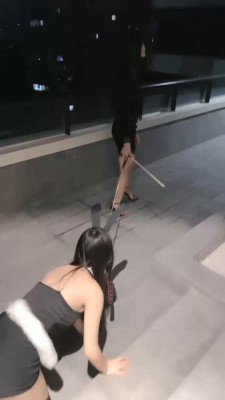 1775594271041006.jpg