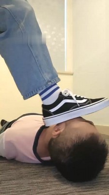 177559456908005.jpg