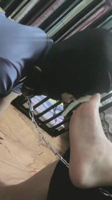 1775594677170005.jpg