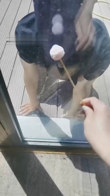 1775992875010010.jpg