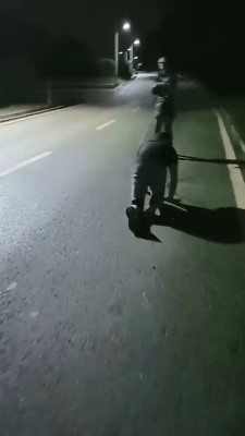 177599399901006.jpg