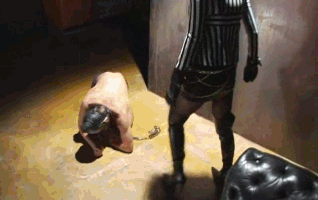1780055615063001.gif