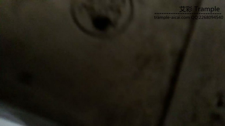 1780312536095006.jpg