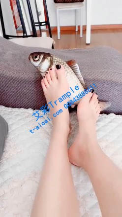 1780312934081002.jpg