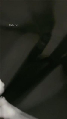 1781439978022010.jpg