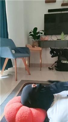 1780741166166005.jpg
