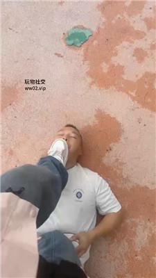 1780741265173011.jpg