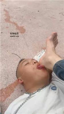 1780741368173024.jpg