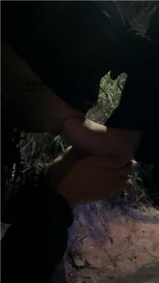 1780741105017010.jpg