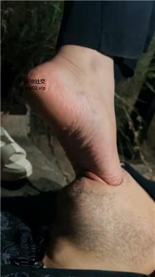 1780741118017017.jpg