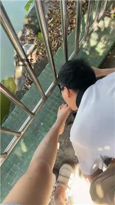1780741794091019.jpg
