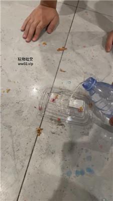 1780741546131003.jpg