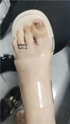 1780741586145006.jpg
