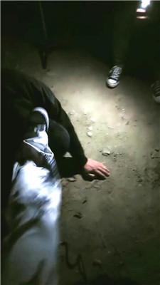 1780741658200009.jpg