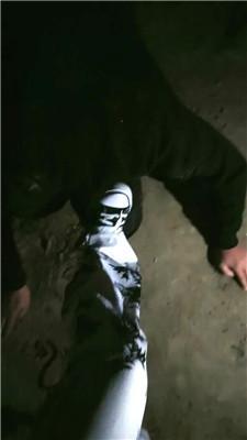 1780741694200011.jpg